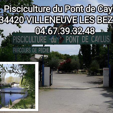 Tiny House 3 Personnes Soeursgrises Beziers Centre Historique Coeur De L'Herault Capitale D'Occitanie 外观 照片