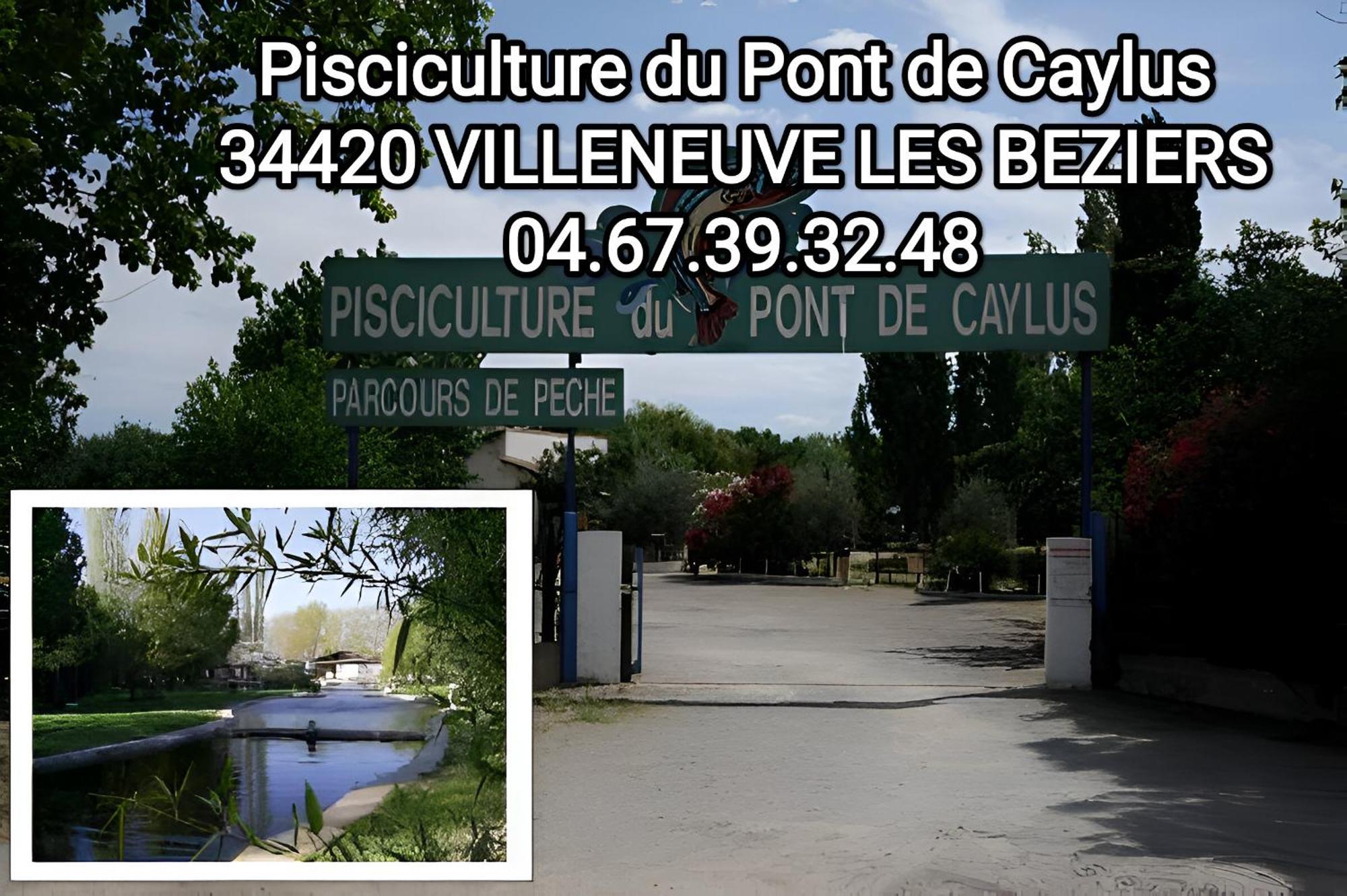 Tiny House 3 Personnes Soeursgrises Beziers Centre Historique Coeur De L'Herault Capitale D'Occitanie 外观 照片